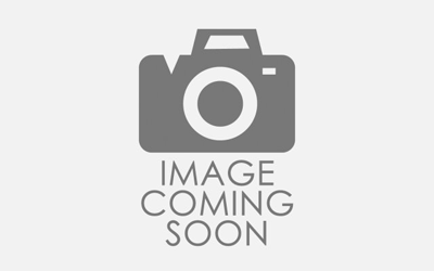 ONION RED DICE 1/4″ CS 2/5#